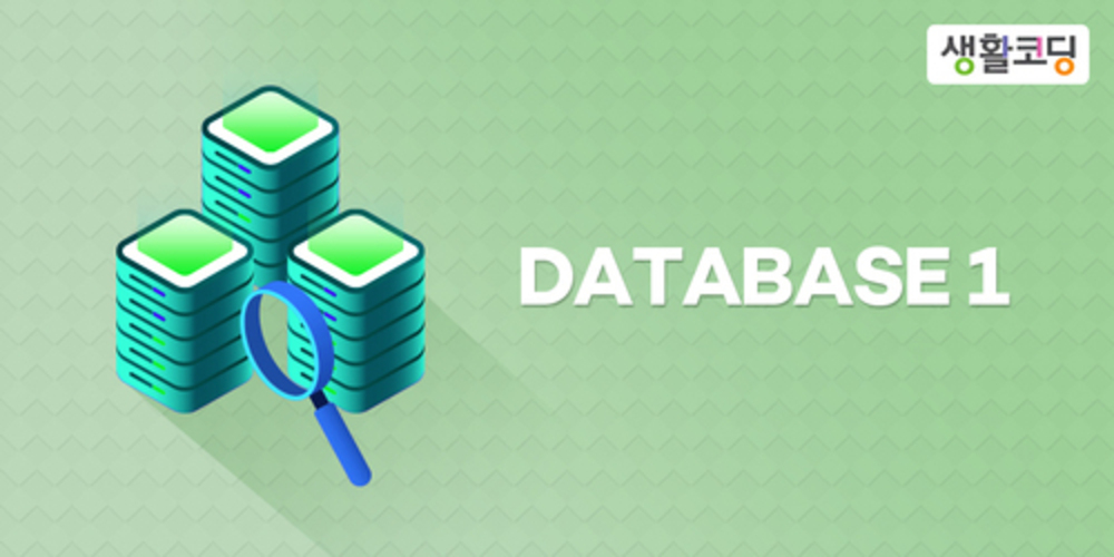 DATABASE 1 이미지