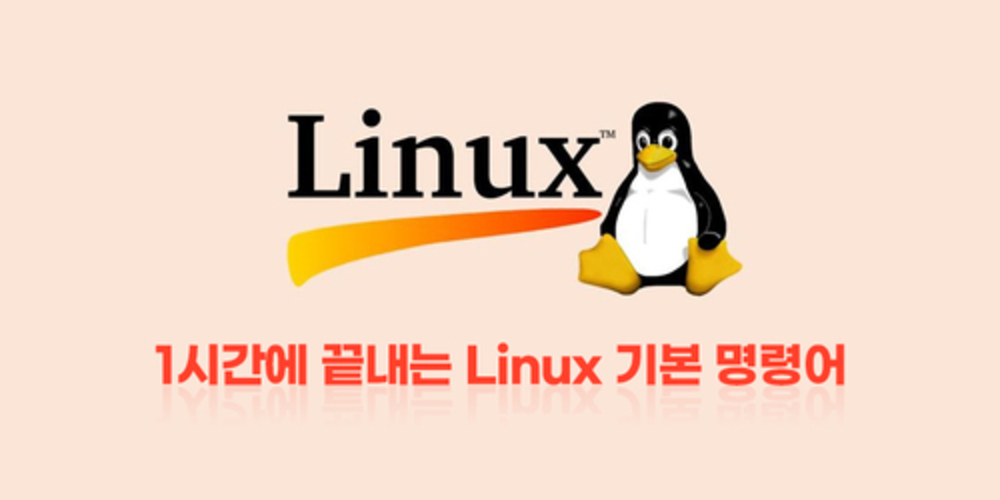 1시간에 끝내는 Linux 기본 명령어 이미지